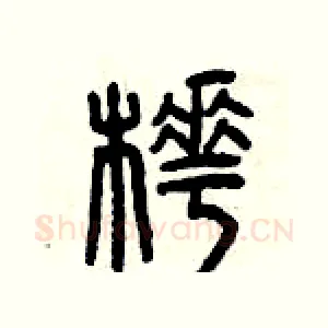 樺