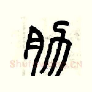肋