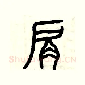 肩