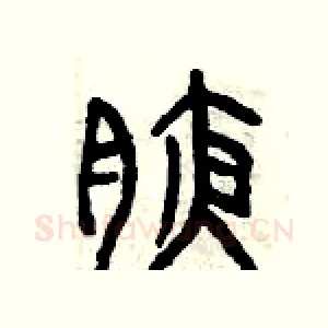 腋