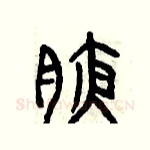 腋