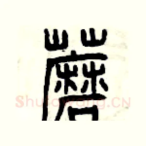 蘑