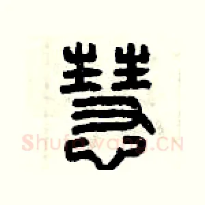 慧