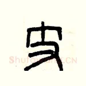 支