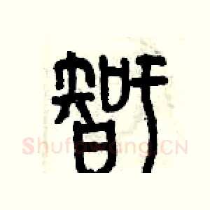 智