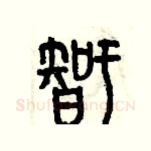 智