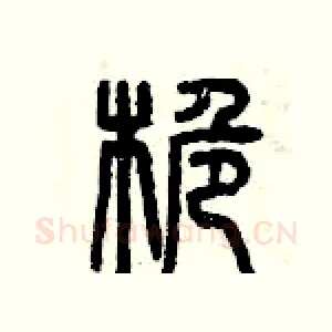 桅