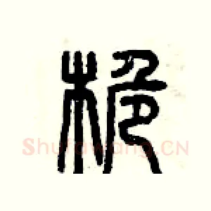 桅