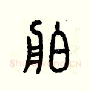 舶