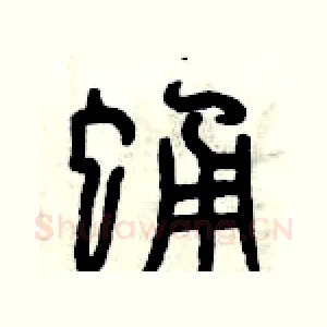 蛹
