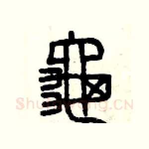 龜