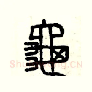 龜