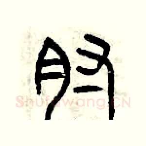 肘