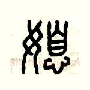 媳
