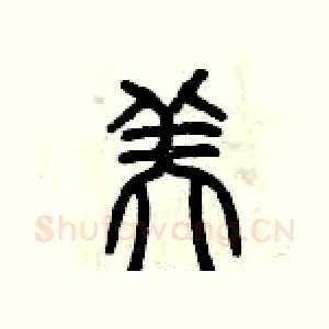 美