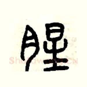 腥