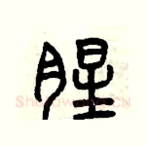 腥