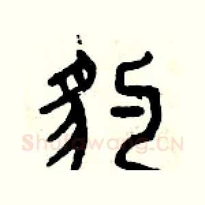 豹