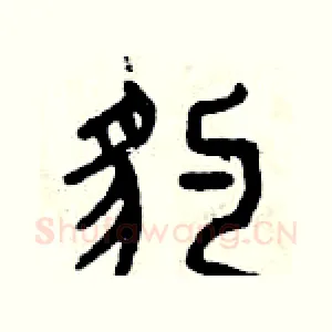豹