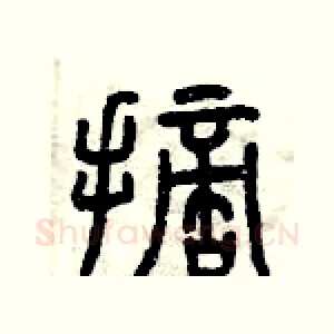 摘