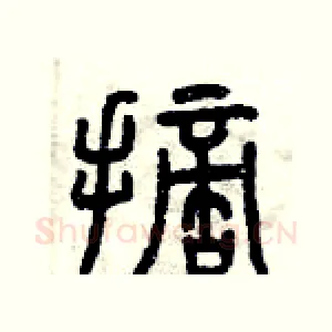 摘