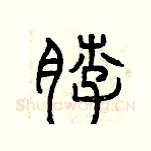 脖