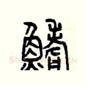 鰭