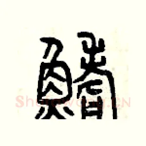 鰭