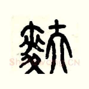 麩