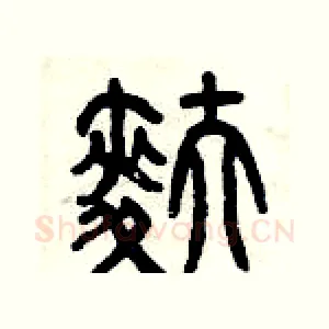 麩