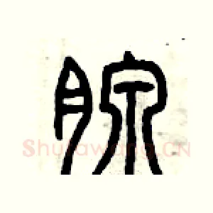 腺