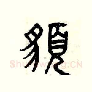 貌