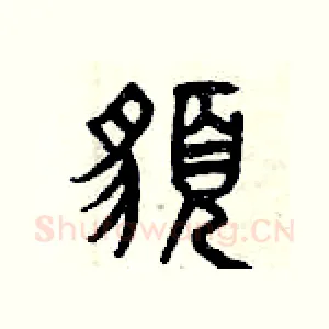 貌