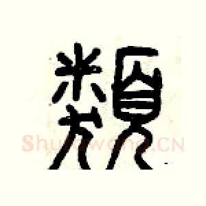 類