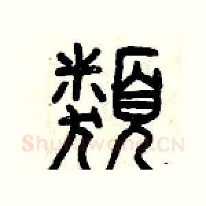 類