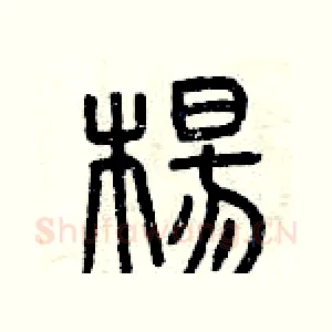 楊