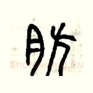 肪