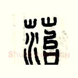 苔