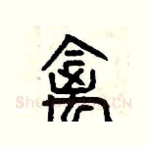 禽