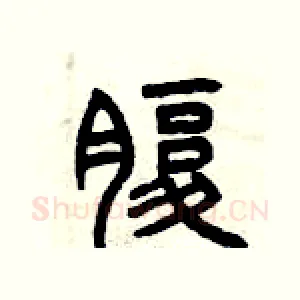 腹