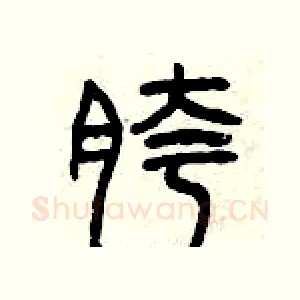 胯