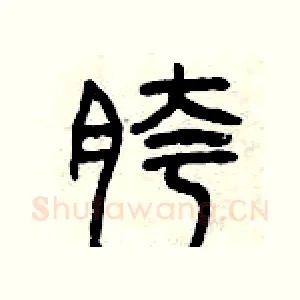 胯