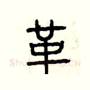 革