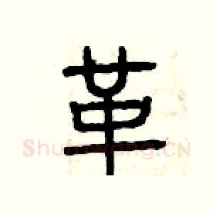 革