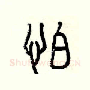 怕