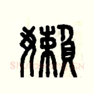 懶