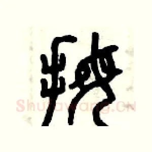 拇