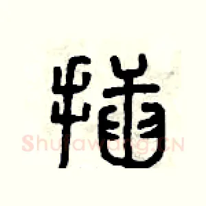 插
