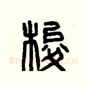 梭