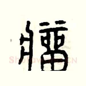 瘤